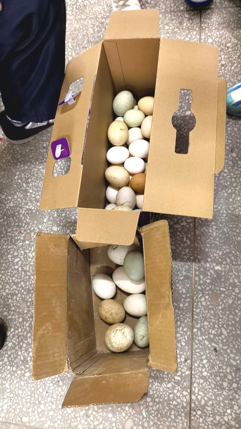 05版民生资讯-1.jpg 05版民生资讯-1.jpg