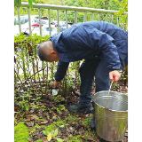 200个诱蚊诱卵器“上岗”，专门开展“蚊口普查”