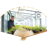 “浏阳伢子”陈力的“爱兰说”