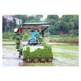 北盛镇早稻移栽全面收官，1.5万亩秧苗扎根田间