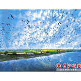 八百里洞庭我的家