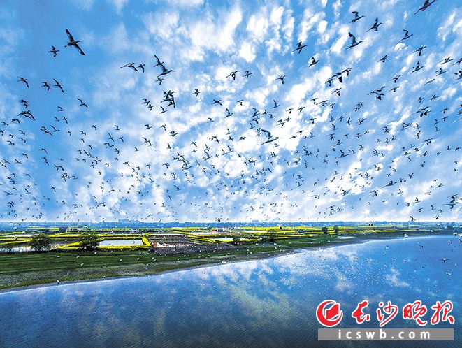 ff211057fa85396f7bb8f8c863820bc7watermark169ea82a3b95fa.jpg