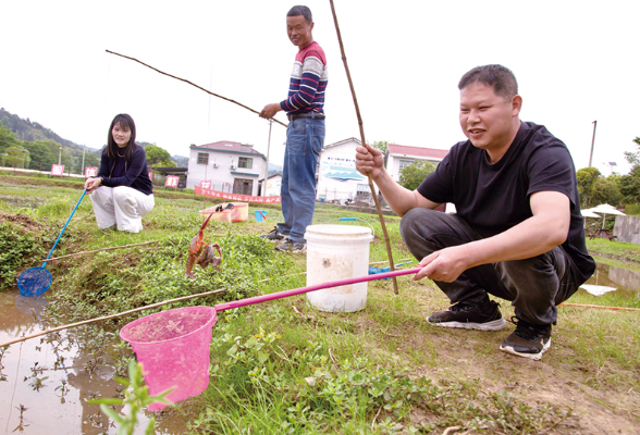 从卖虾到钓虾，一亩田里“长出”多重效益