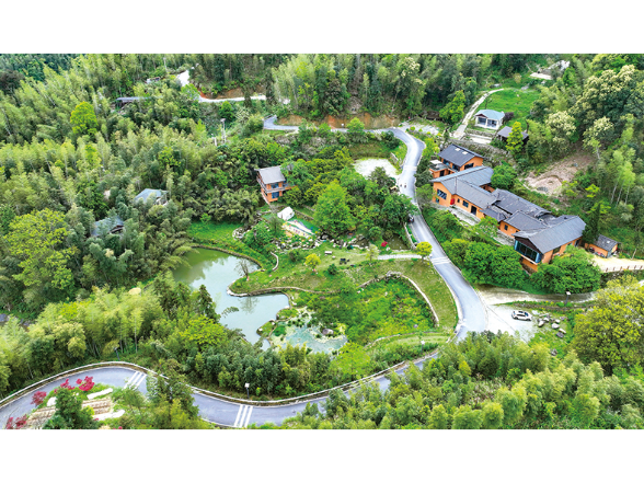 老宅变民宿，两个归乡人的山居梦