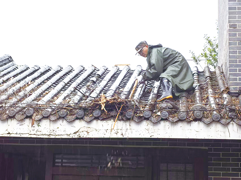05版深读-5.jpg 05版深读-5.jpg