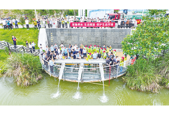 137.1万尾鱼苗“安家”三大流域