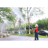 迅速启动城区栾树虫害专项治理