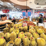 最低18元一斤，“榴莲自由”来了
