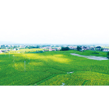 奋楫中“浏”丨浏阳市烟叶产业发展中心:万亩烟田翻碧浪 一枝一叶总关情