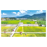 万亩示范片“双抢”忙