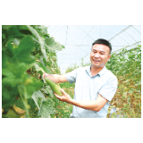 “一棚多用”到“一房多能”解锁烟叶产业发展新范式