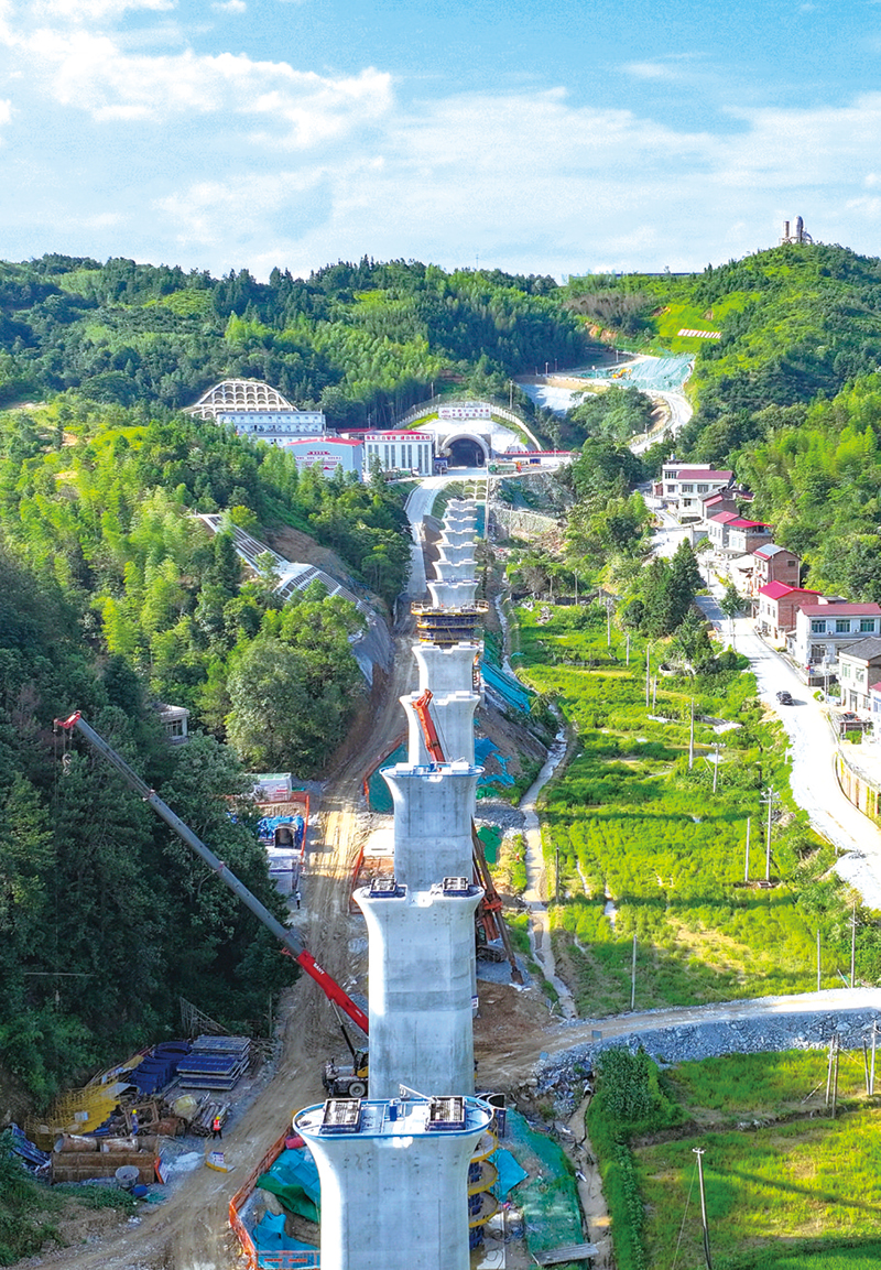 01版封面-10.jpg