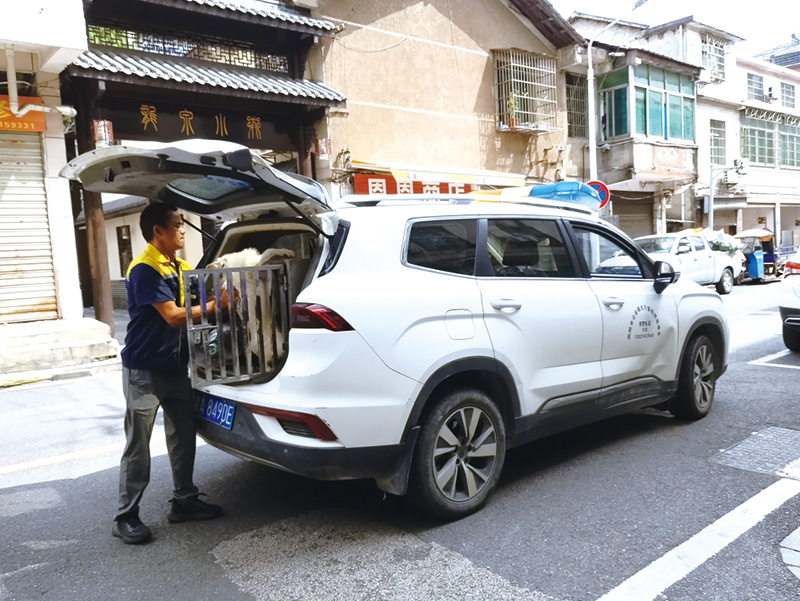 06版民生现场-1.jpg