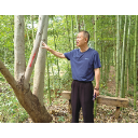 追梦人丨给我一块荒地,还你一片森林