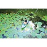 泛舟池塘，采撷水中珍珠