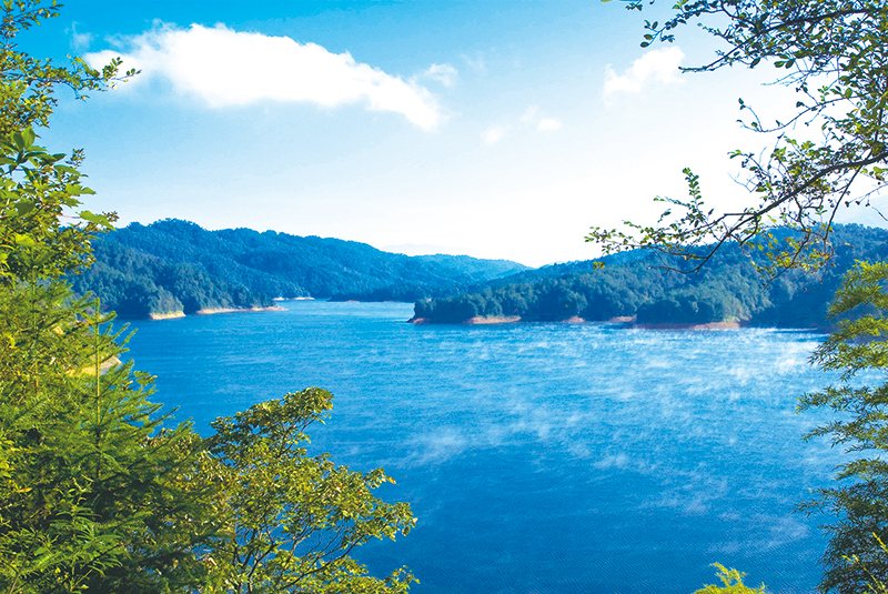 06版株树桥-1.jpg