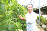 浏阳好物丨浏阳拖泥豆的“重生”