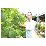 浏阳好物丨浏阳拖泥豆的“重生”