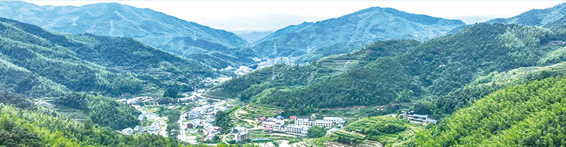 03版党代会-1.jpg 03版党代会-1.jpg