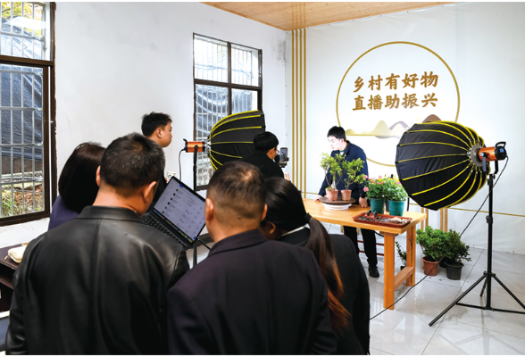 绿心小镇的“破”与“立”