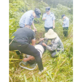 蜂毒夺命突发险情，民警深山冒雨救人
