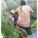路遇老人落水,沿溪夫妻俩联手施救