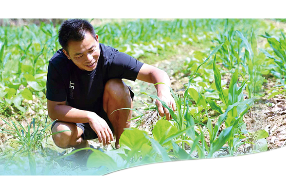退伍军人李尤兴：把“菜篮子”做成返乡创业典型案例