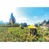 繁花迎国庆