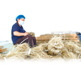 丰收浏阳丨粉皮出山,俏销全国湘菜店