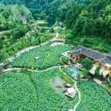 荒废老宅变田园民宿,乡愁满满引客来