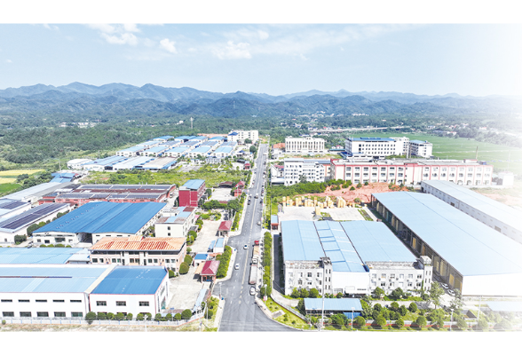 项目接续落地，龙伏产业迎来“龙抬头”