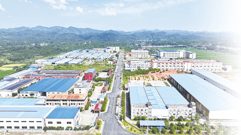 06版排头兵-2.jpg