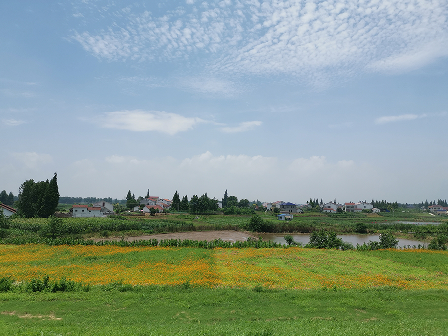 "6月15日,在岳阳市君山区广兴洲镇沿江村一家小商店,大门口这一幅家规