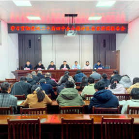 区纪委监委召开学习贯彻党的二十届四中全会精神宣讲报告会