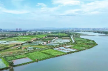 《三十年·君须记》系列报道⑤ | 君山区：治理有温度，美丽乡村入画来