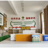 把“供销网”织进乡村振兴最深处——君山区供销联社四维发力激活为农服务新动能