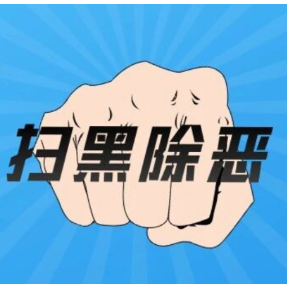 我省公布4起涉嫌新型黑恶违法犯罪典型案例