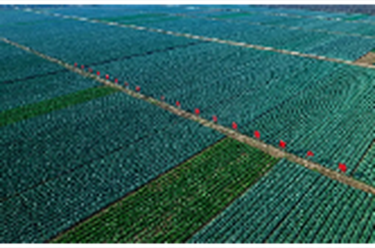 锚定百亿目标 绘制现代农业新蓝图——看君山区如何从“鱼米之乡”向“农业强区”跨越