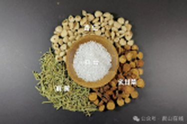 辛凉疏表，清肺平喘——麻黄杏仁甘草石膏汤