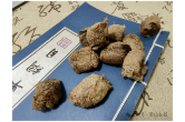 补肾助阳，固精缩尿——桑螵鞘[sāng piāo xiāo]
