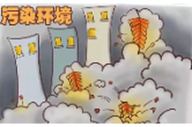 春节禁限烟花？这些理由你一定认同！