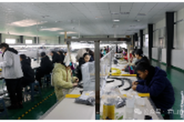 小村来了新工厂——广兴洲镇招商引资为乡村振兴添活力