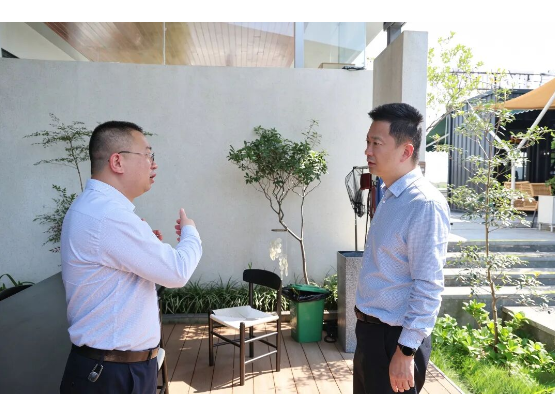 陈淼调研柳林洲街道民生建房、拆旧建新和产业发展工作