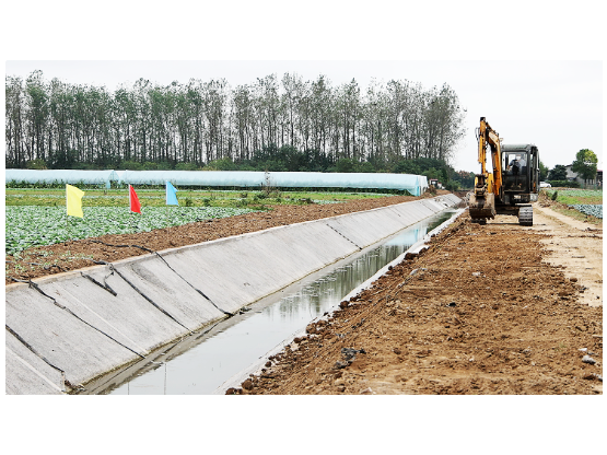 君山区高标准农田建设“加速跑” 秋日管护绘就沃野好“丰”景