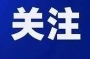 金马迎春，小院“抓鸡”乐翻天！