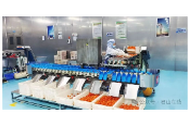 开年即获亿元订单！一枚小鸭蛋，让上岸渔民吃了“定心丸”！