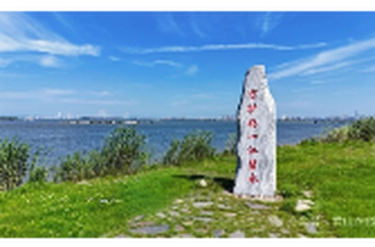 江豚跃碧水，岸线焕新生——君山区交出世界地球日“绿色答卷”