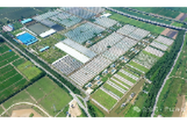 建区三十周年：岳阳有了首个“港澳菜园”，君山蔬菜凭实力“出圈”