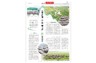 岳阳日报专版｜生态发展三十载君山逐绿向未来