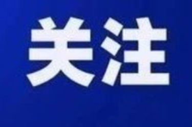 躲在幕后当老板、虚假出资拿“分红”……不要妄想“当官发财两头占”